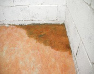 Here's an alt tag for the image: Water damage in basement corner.