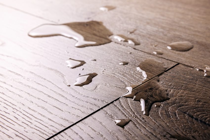Water spilled on the hardwood floor, showing moisture damage and surface risk